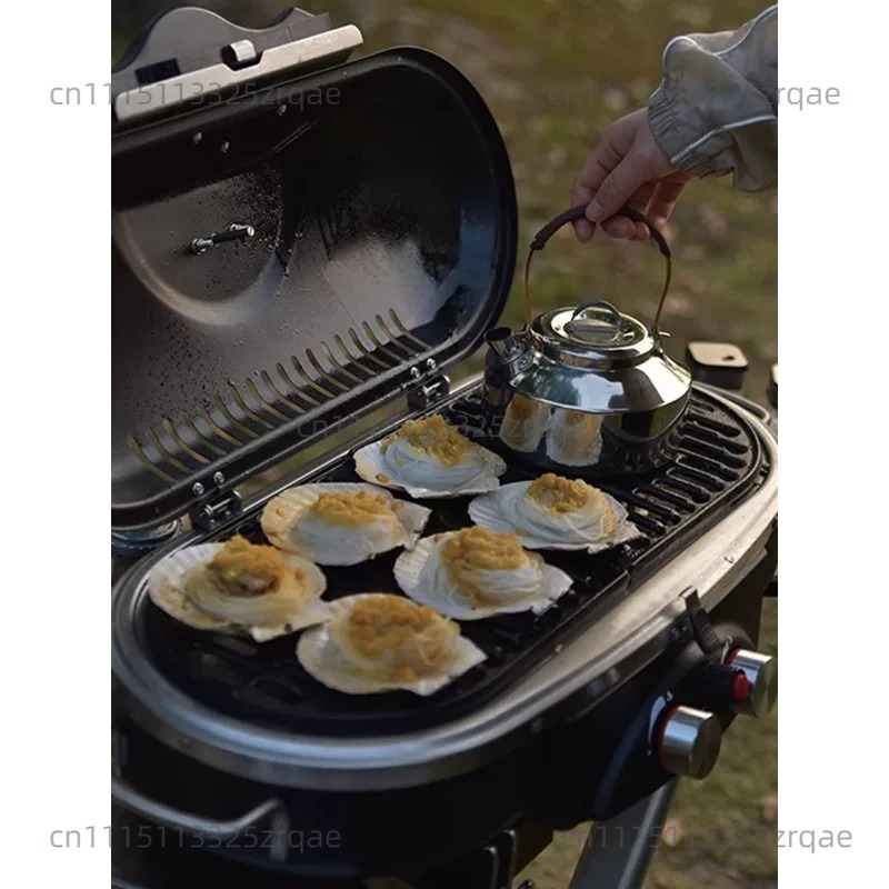 موقد غاز محمول للاستخدام الداخ - مراجعة Outdoor Camping Griddle وسعره